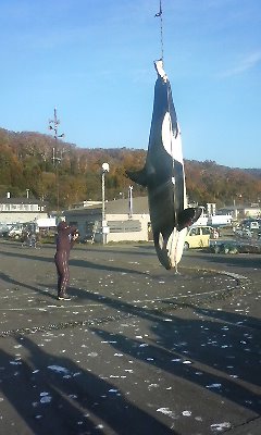 ファイル名: 101031071401.jpg
ファイルサイズ: 24.8KB 101031071401